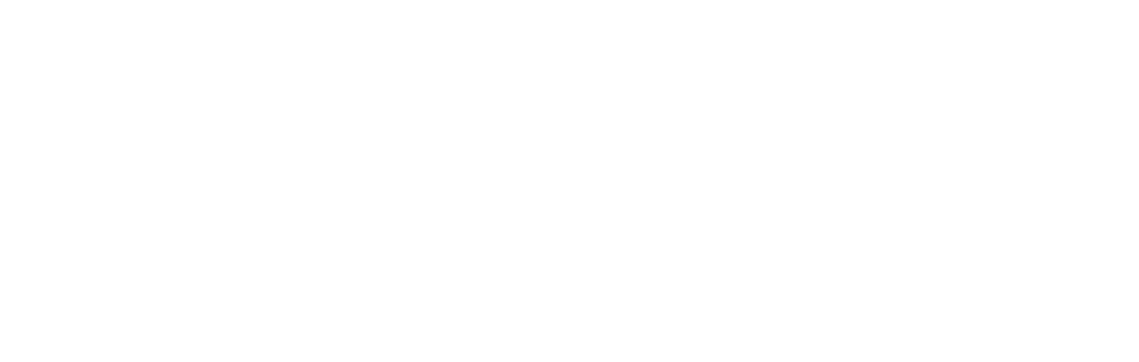 VESL